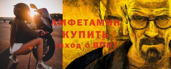 гашик Богданович