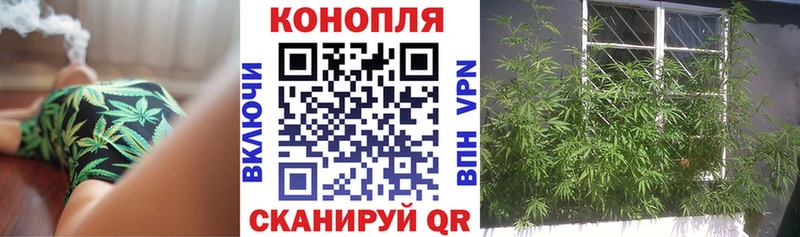 Бошки марихуана OG Kush  Козьмодемьянск 